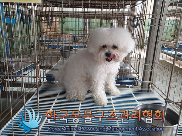 한국동물구조관리협회_411322202300556